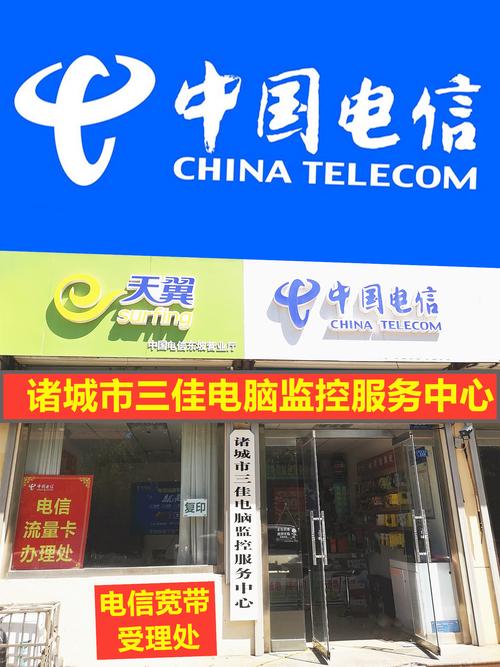 信息化浪潮中的貼心守護 諸城市三佳電腦服務部信息咨詢服務側記